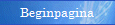 Beginpagina van willemfoppen.nl